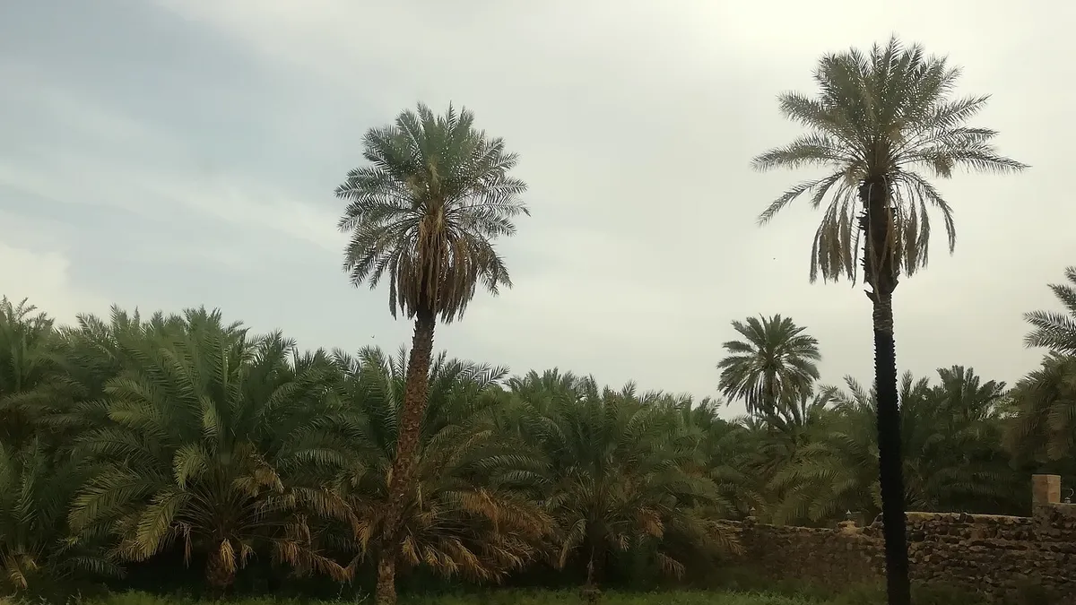 Le Prophète ﷺ répond à toutes les invitations